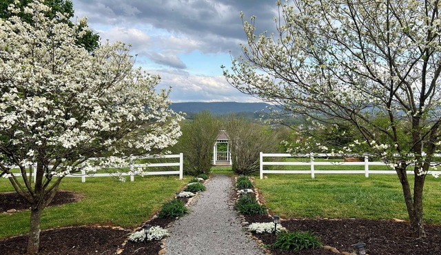 Charming 1-bedroom house with Smoky Mountains view, WiFi and AC in Maryville