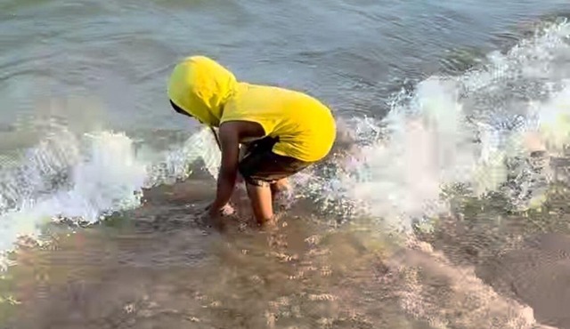 Charming 1-bedroom home near Lakeview Park & Beach