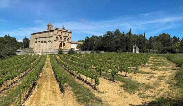 Charming 1-bedroom house with terrace near Saint-Guilhem-le-Desert