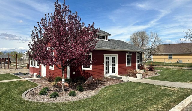 Charming 1-bedroom house in lovely Lovell with WiFi, AC