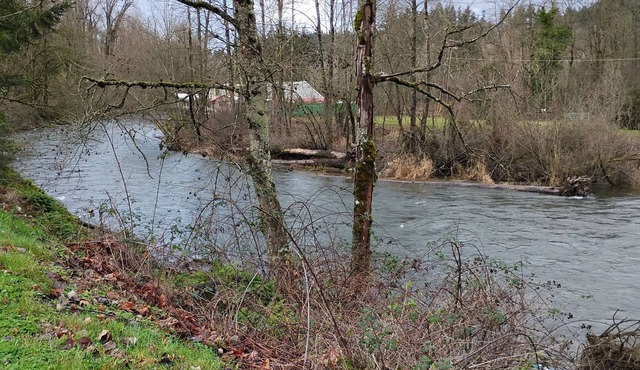 Charming 1-bedroom in Renton in a 4-bedroom ,3 bathroom house.Private bedroom