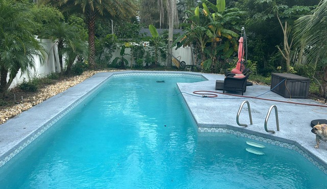 Charming 1-bedroom in Tampa with WiFi, Pool, Fitness, and walkable to Lake Park
