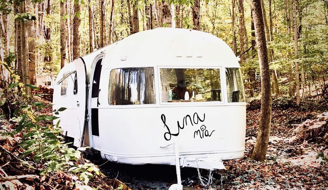 Charming 1-bedroom RV in Zionville for a cozy getaway