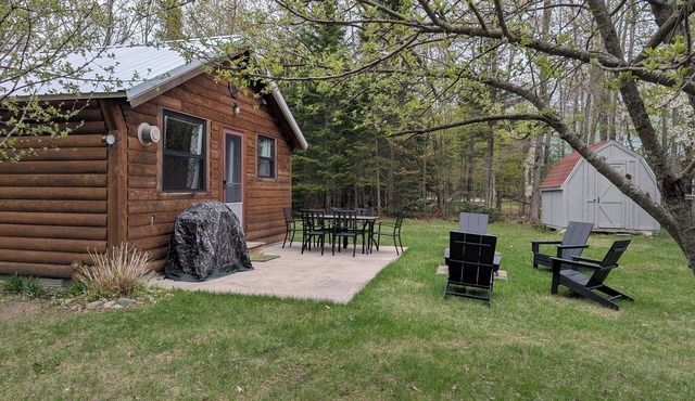 Charming 1-bedroom cabin, quiet neighborhood in Grand Marais, pet friendly