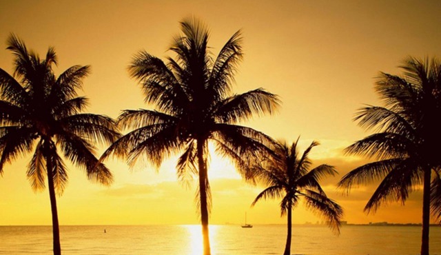 Charming 1-bedroom in Key Biscayne with Pool close to the Beach -