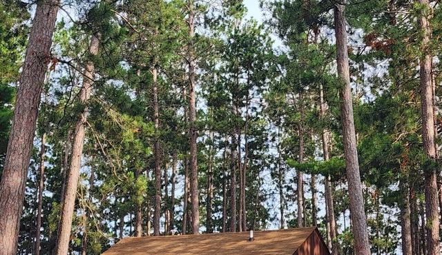 Charming 1-bedroom cabin in wonderful Park Rapids with AC & WIFI. includes Dock.