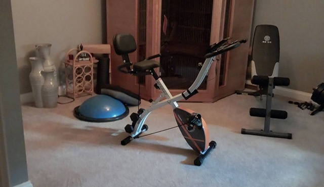 Charming 1-bedroom apartment with sauna fire pit in Westminster