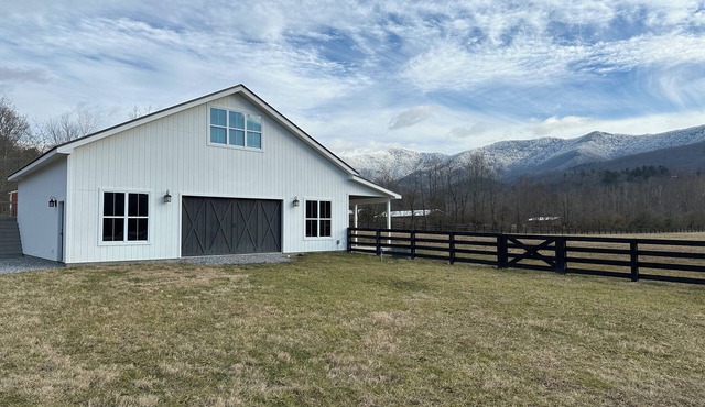 Charming 1-bedroom loft apt in Young Harris with AC, WiFi and Highland Cows!