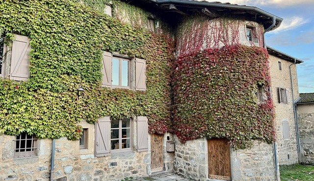 Charming 17th century residence, Calm, Livradois Forez Natural Park, Olliergues