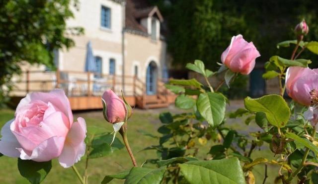 Charming 1840 Cottage with Garden, Near Loches & Loire Castles – Family & Pet Friendly