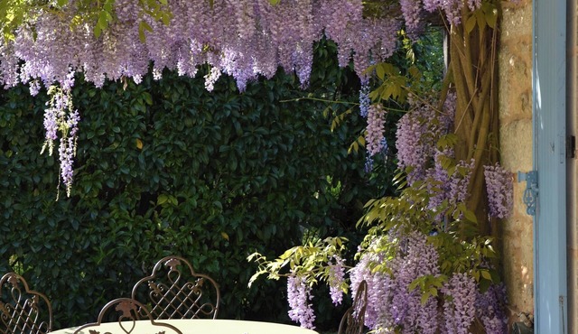 Charming 18th-century residence in the heart of Périgord Noir. Ideal for families.