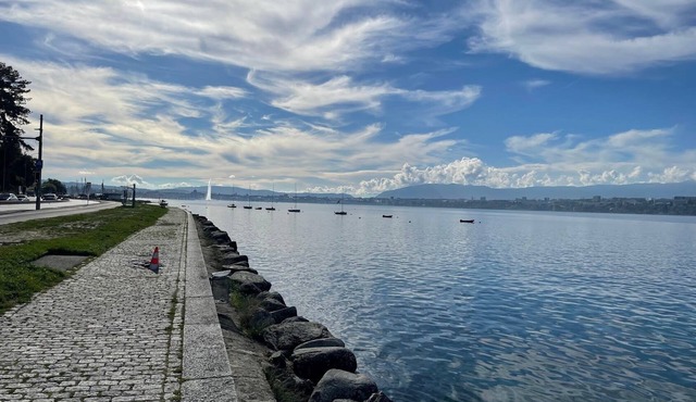 Charming 19th-century home & attached apartment: Geneva, Annecy, Chamonix, Lake