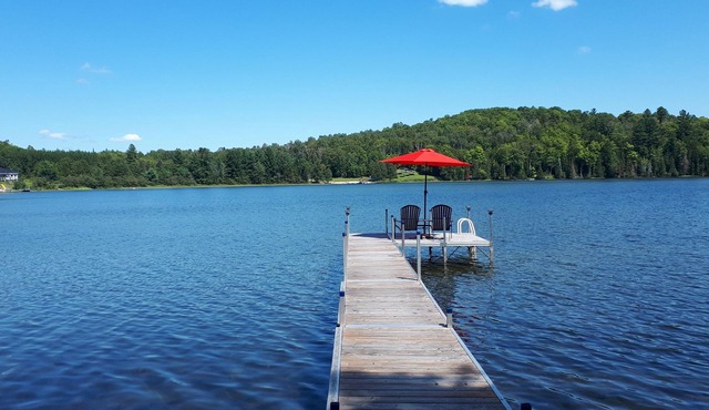 Charming 2+1-bedroom cottage on Fraser lake with AC & WiFi