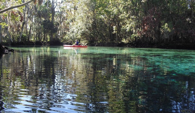 Charming 2 bdrm 1.5 bath villa 100 yards to Three Sisters Springs