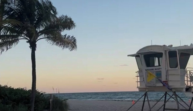 Charming 2-bed, 2-bath cottage in Ft. Lauderdale 8 minutes from the beach 🏝️