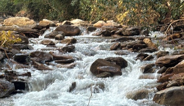 Charming 2-bedroom cabin on babbling brook in delightful Hendersonville with AC