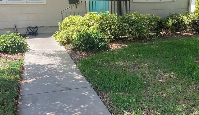 Charming 2-bedroom bungalow in St. Petersburg close to beaches and downtown.