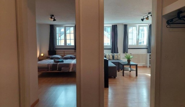 Charming 2-bedroom apartment with WiFi in St. Gallen