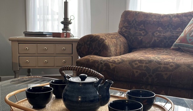 Charming 2-bedroom apartment with WiFi and AC in Tipp Hill, Syracuse.