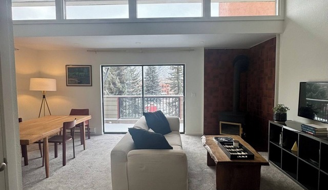 Charming 2-bedroom apartment restaurant row Basalt with HS WiFi Great location