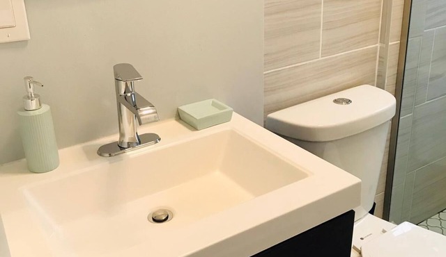 Charming 2-bedroom apartment near BC, BU, Harvard, T and more