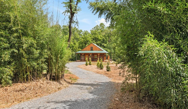 Charming 2-bedroom cabin on Craigs Creek with WiFi just outside New Castle