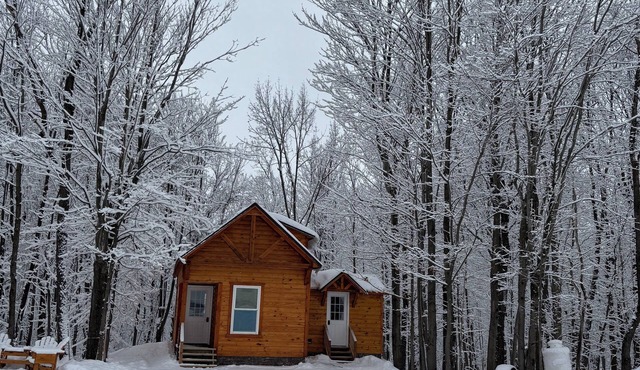 Charming 2-bedroom cabin with WiFi in North Bangor, NY.