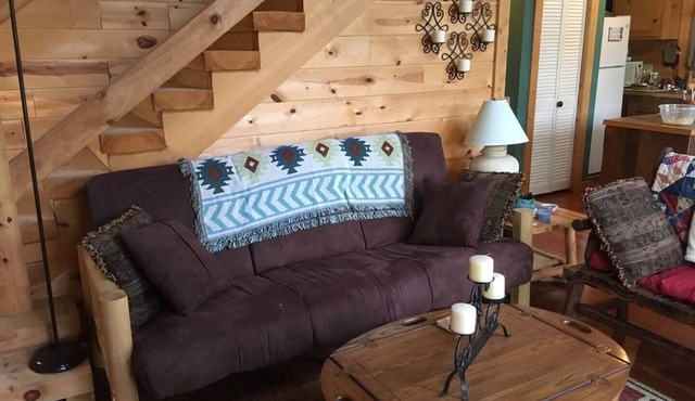 Charming 2-bedroom cabin with AC, WiFi on private lake in Dunlap, Tennessee