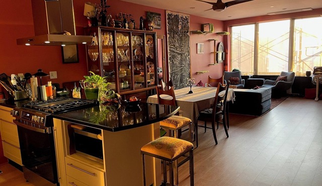 Charming 2+ bedroom condo with AC, WiFi in wonderful Brooklyn