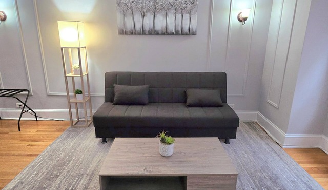 Charming 2-bedroom condo with AC and WiFi in lakefront downtown Chicago