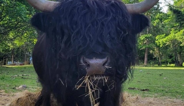 Charming 2-bedroom farmhouse style tiny home in Rainier with Hot tub