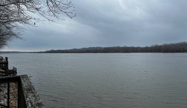 Charming 2-bedroom house on the Tennessee river; peace and quiet
