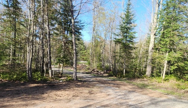Charming 2-bedroom house with WiFi near Hiawatha National Forest in Manistique