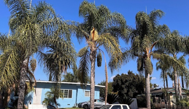 Charming 2-bedroom house in delightful La Puente with WiFi, fitness equipment