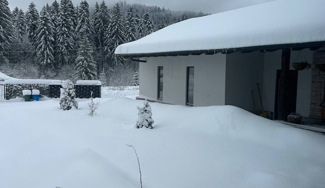 Charming 2-bedroom house with WiFi in Delnice