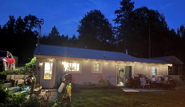 Charming 2-bedroom lake front Cottage. Sleeps 9 in Remus, West of Mt Pleasant
