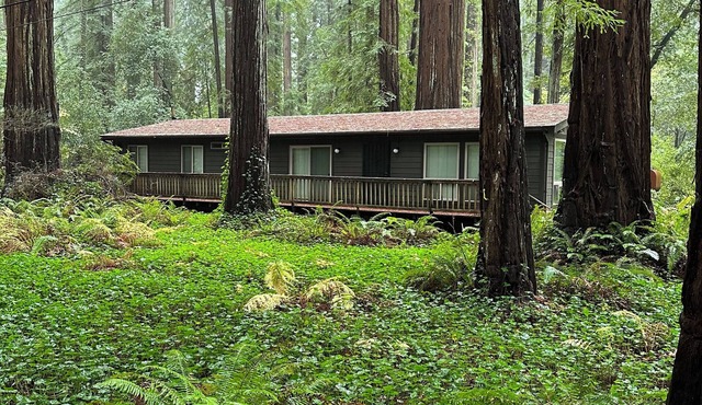 Charming 2-bedroom modular home in Redway surrounded by State Parks.