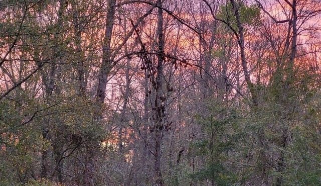 Charming 2-bedroom home on peaceful bluff overlooking the Edisto River.