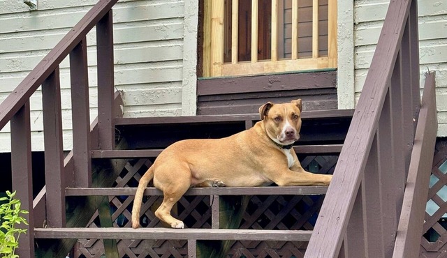 Charming 2-bedroom cottage in peaceful Schroon Lake with WiFi, AC, dogs welcome