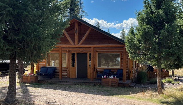Charming 2-bedroom cabin with bonus loft, pet-friendly in Seeley Lake