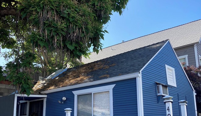 Charming 2-bedroom cottage in lovely downtown Weaverville with WiFi, AC