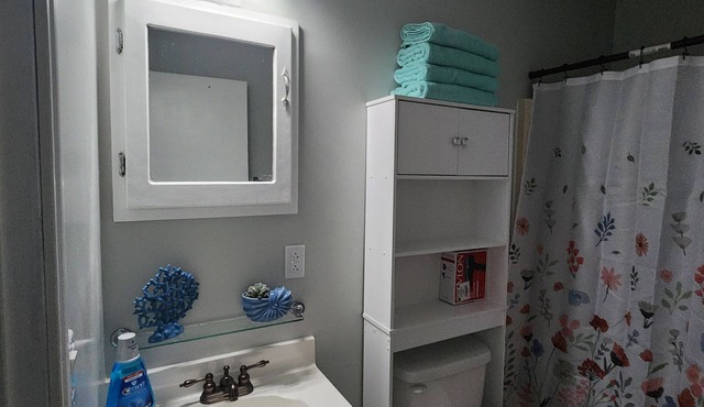 Charming 2-bedroom apartment in fabulous Willseyville with AC, WiFi