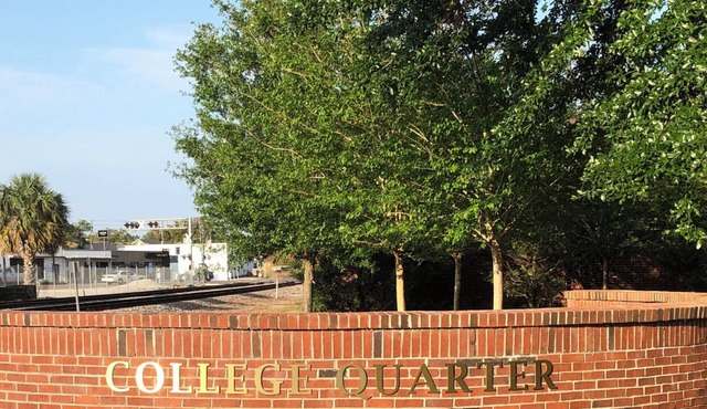Charming 2-bedroom apartment with AC and WiFi in enchanting Winter Park
