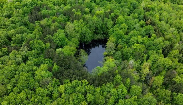 Charming 2-bedroom VIP cottage in Pulaski 1.9 m away from famous salmon river