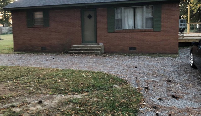 Charming 2-bedroom waterfront cottage on Reelfoot Lake in Samburg, TN