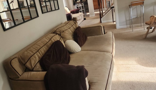 Charming 2 BR English Basement. Private entry, bath, kitchenette & lots of light