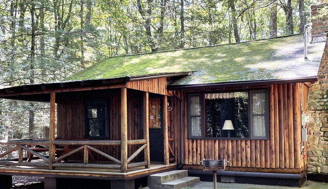 Charming 2 BR Log Cabin in the Poconos