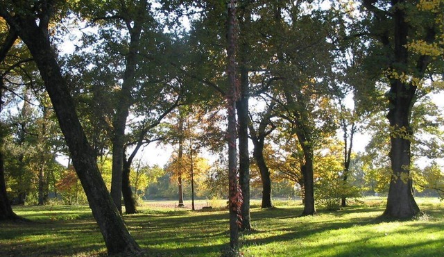 Charming 2/4-person gîte in a 17th-century residence
