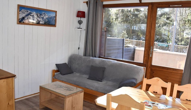 Charming 2-room with terrace, pets allowed, Pralognan center