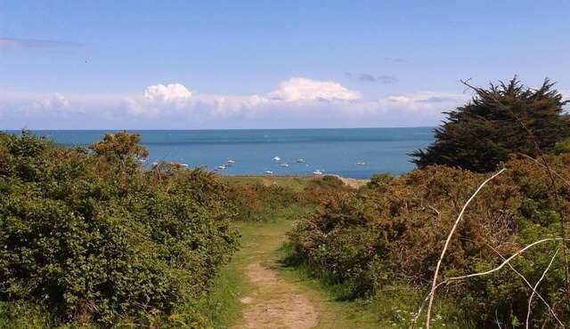Charming 2-room apartment with direct beach access, ideal for couples and young children